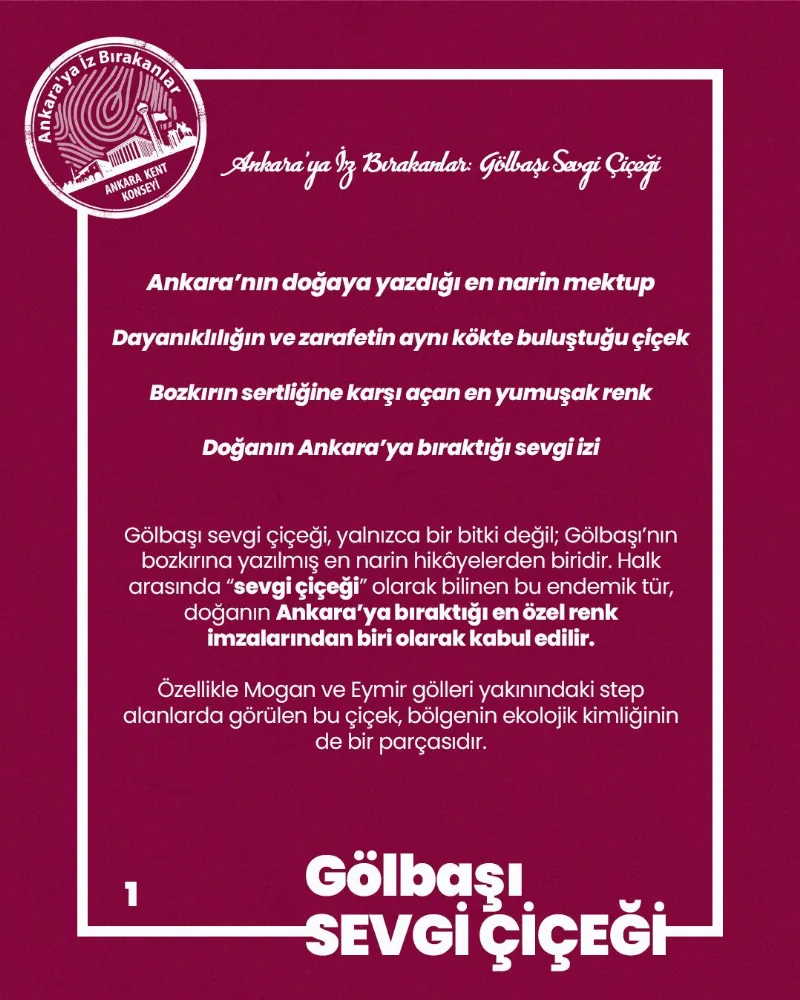 Ankara’ya İz Bırakanlar: Gölbaşı Sevgi Çiçeği — fotoğraf 3