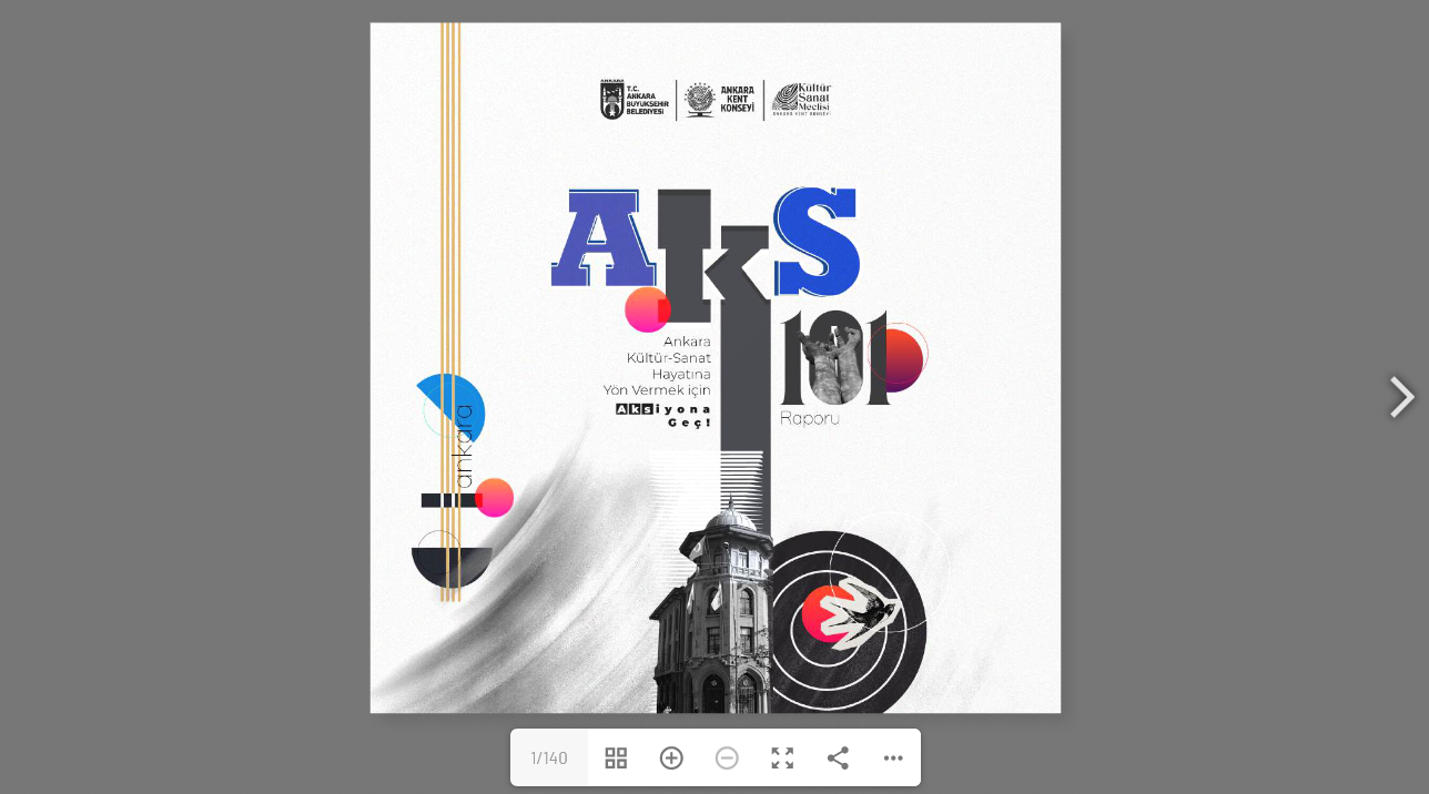 Aks101 Raporu (Kitap)