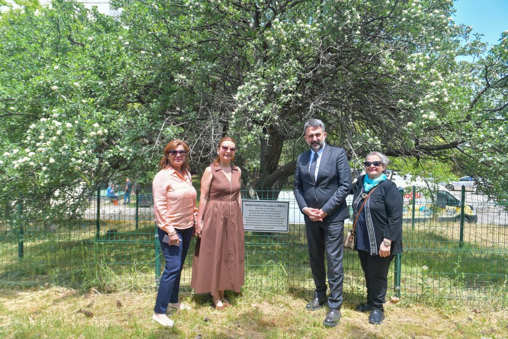 Akk Başkanı Halil İbrahim Yılmaz “Ortak Akılla Yeşil Başkent: Ankara’nın Çevre Vizyonu” Başlıklı Söyleşi Programına Katıldı — fotoğraf 14