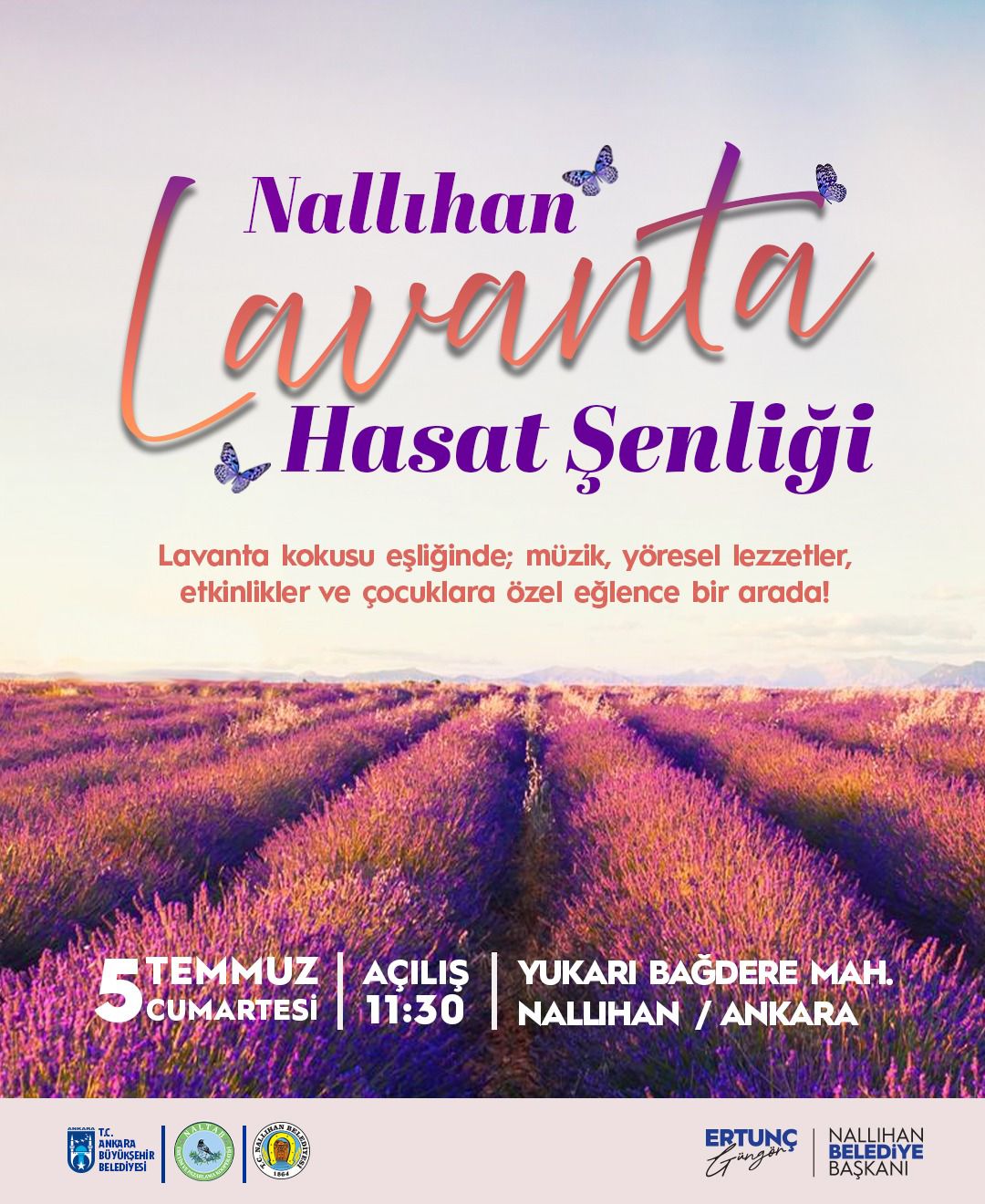 Nallıhan’da hasat zamanı!