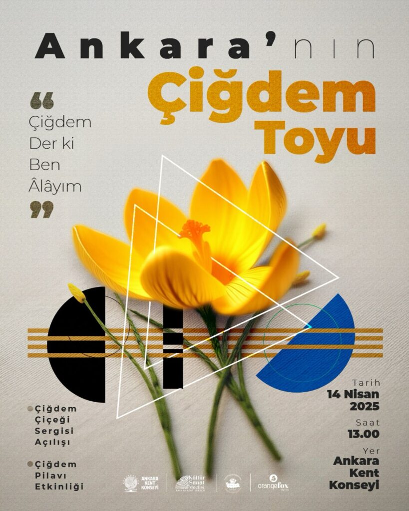 Ankara’nın Çiğdem Toyu — fotoğraf 2