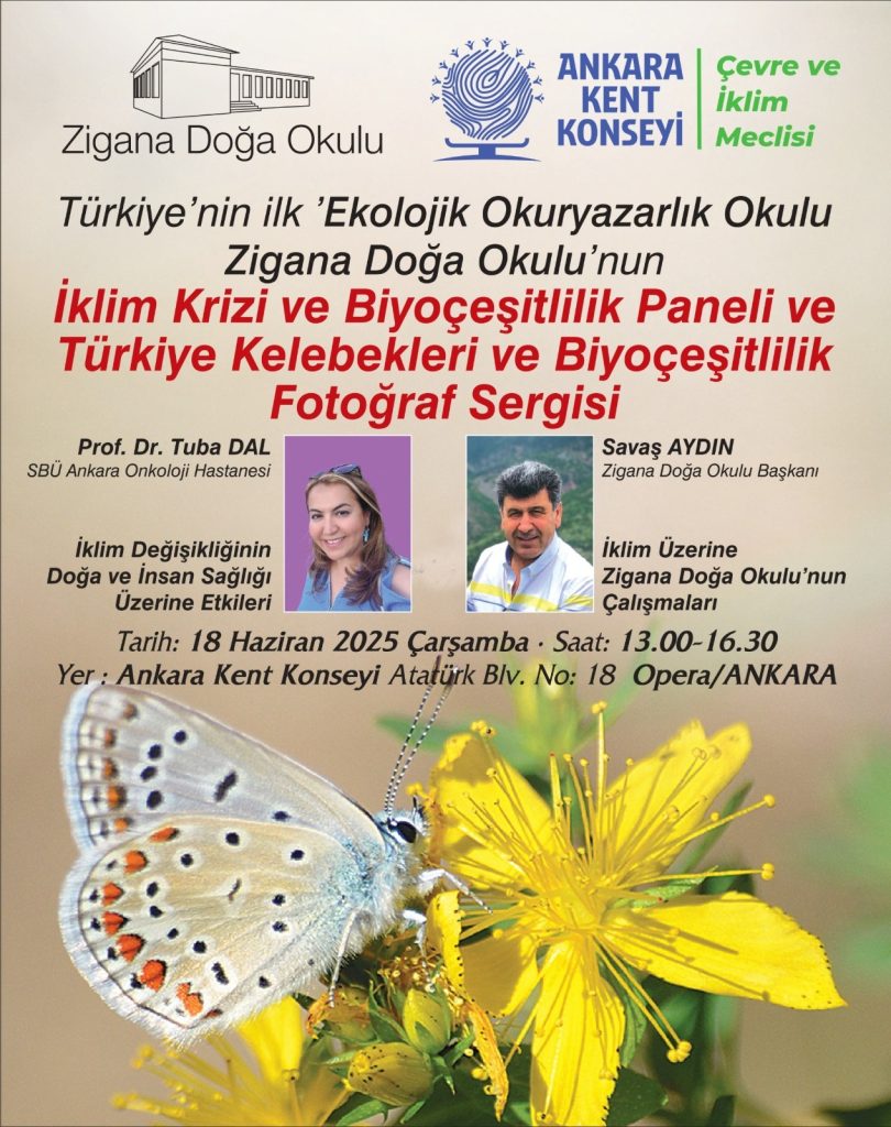 İklim Krizi ve Biyoçeşitlilik Paneli ve Türkiye Kelebekleri ve Biyoçeşitlilik Fotoğraf Sergisi — fotoğraf 2